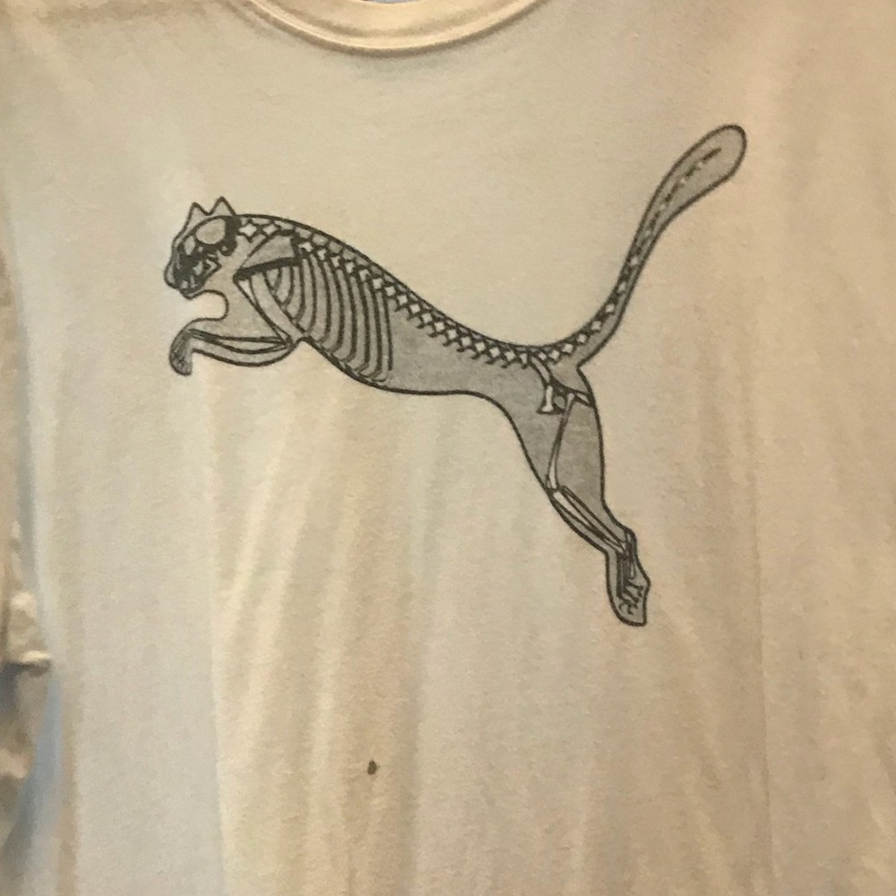 T shirt